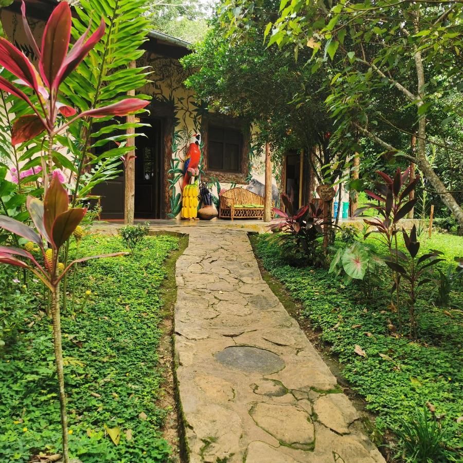 Cordillera Escalera Lodge Tarapoto Bagian luar foto