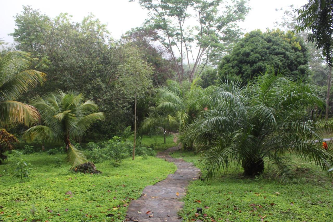 Cordillera Escalera Lodge Tarapoto Bagian luar foto