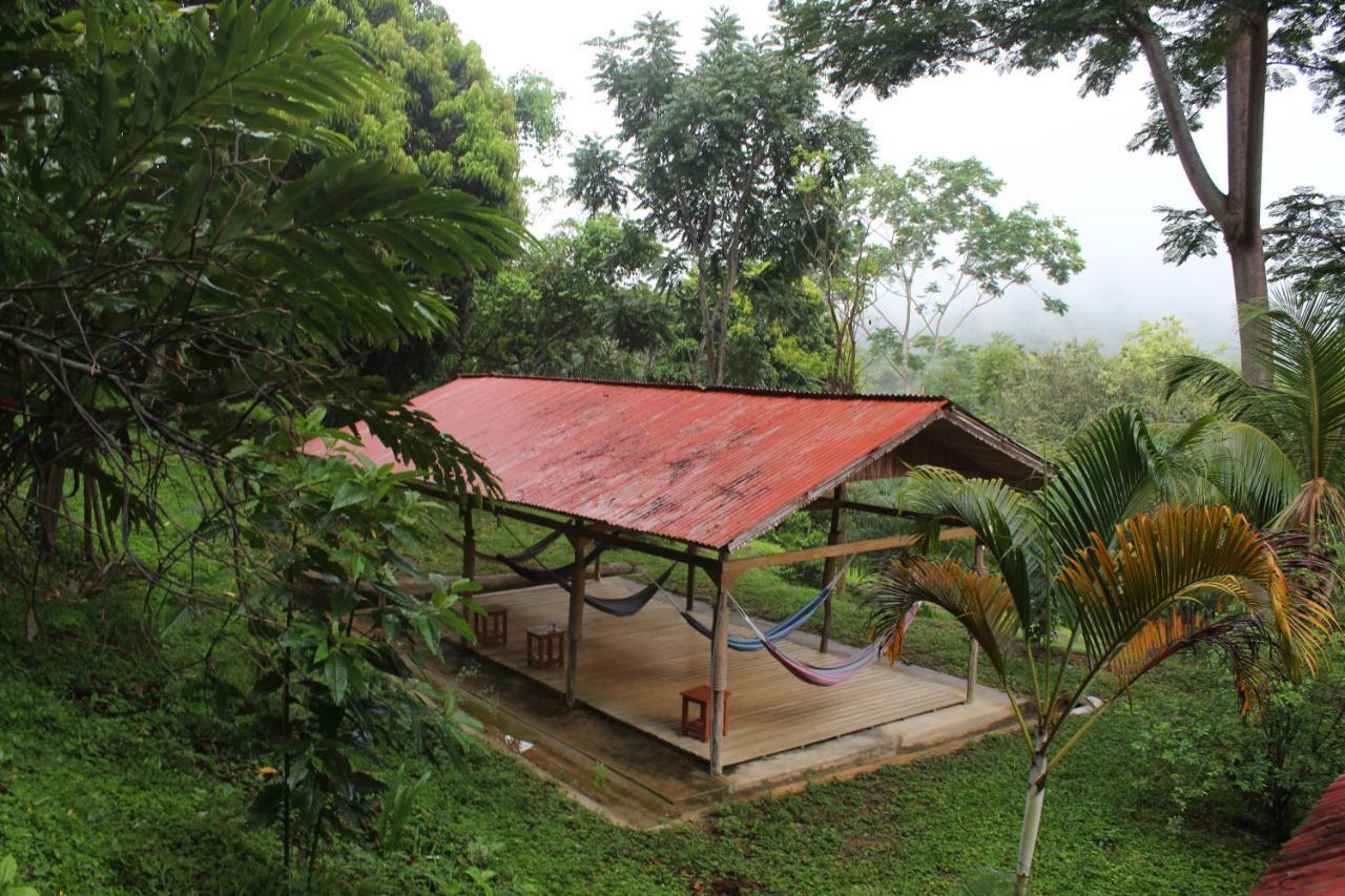 Cordillera Escalera Lodge Tarapoto Bagian luar foto