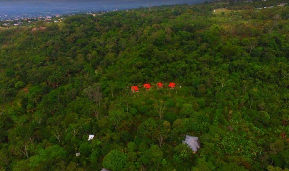 Cordillera Escalera Lodge Tarapoto Bagian luar foto