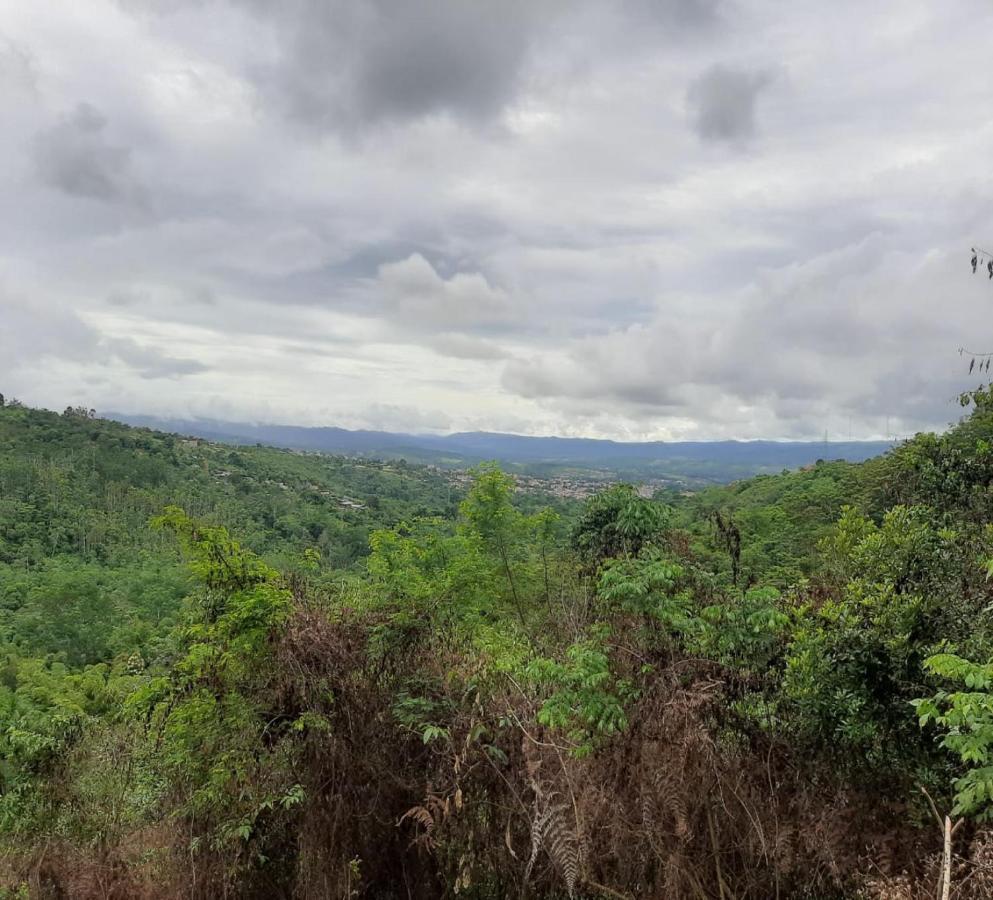 Cordillera Escalera Lodge Tarapoto Bagian luar foto
